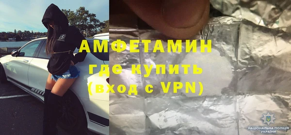 индика Алексин