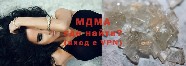индика Алексин