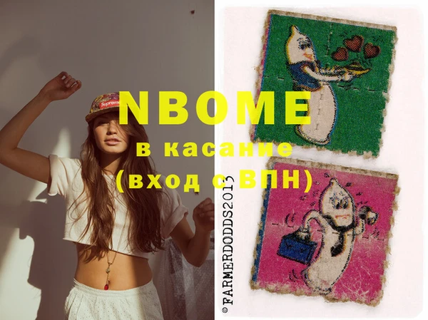 индика Алексин