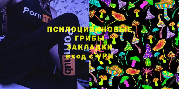 соль курить ск Алзамай