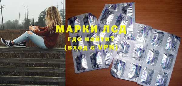 индика Алексин