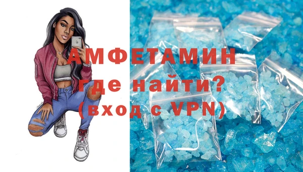 индика Алексин
