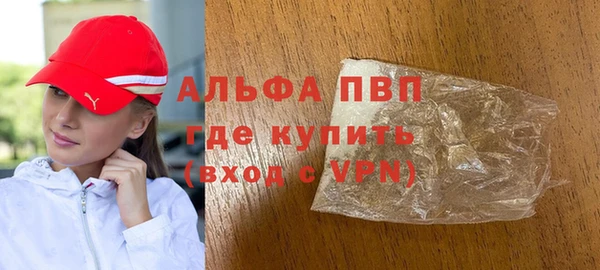 индика Алексин