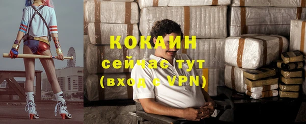 индика Алексин