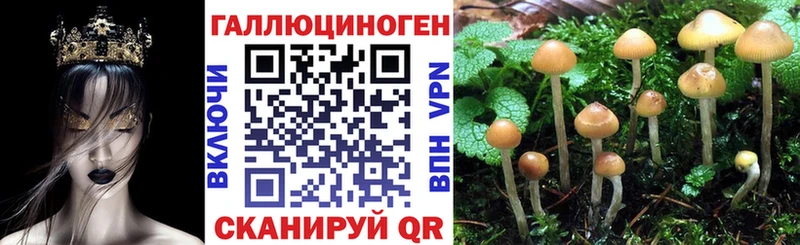 Псилоцибиновые грибы Cubensis  где найти наркотики  гидра как войти  Котельники 