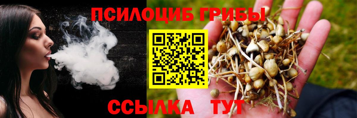 Котельники  Галлюциногенные грибы GOLDEN TEACHER  Псилоцибиновые грибы Psilocybine cubensis  магазин продажи   Вход с VPN 